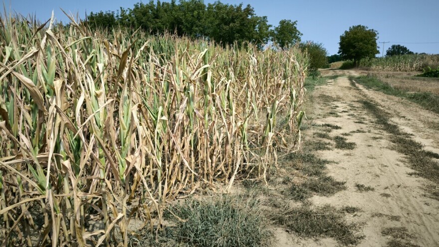 Narednih dana do 35 °C, kada stiže kiša?