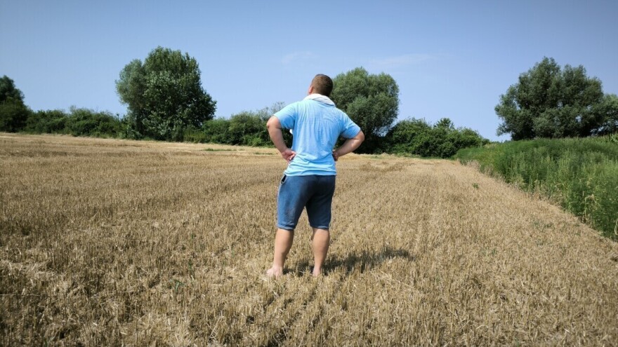 Na snagu stupio Zakon o obnovi prirode u EU - što donosi?
