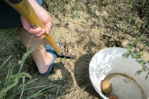 Od sutra promena vremena, svežije uz kišu
