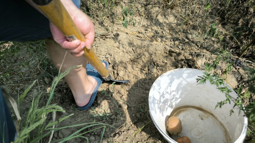Od sutra promena vremena, svežije uz kišu