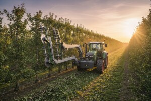 Strojna rezidba voćaka - stara inovacija