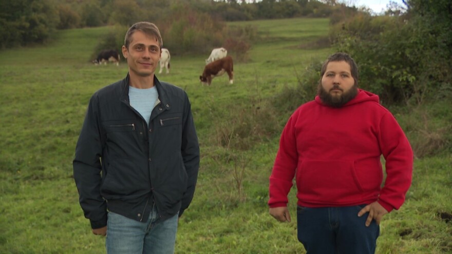 Od stočarstva do keramike: Kako mladi preduzetnici oživljavaju italijanska sela?