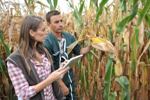 Program ruralnog razvoja u suradnji s fakultetima