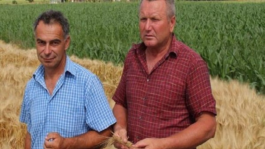 Suša će smanjiti ovogodišnje prinose?