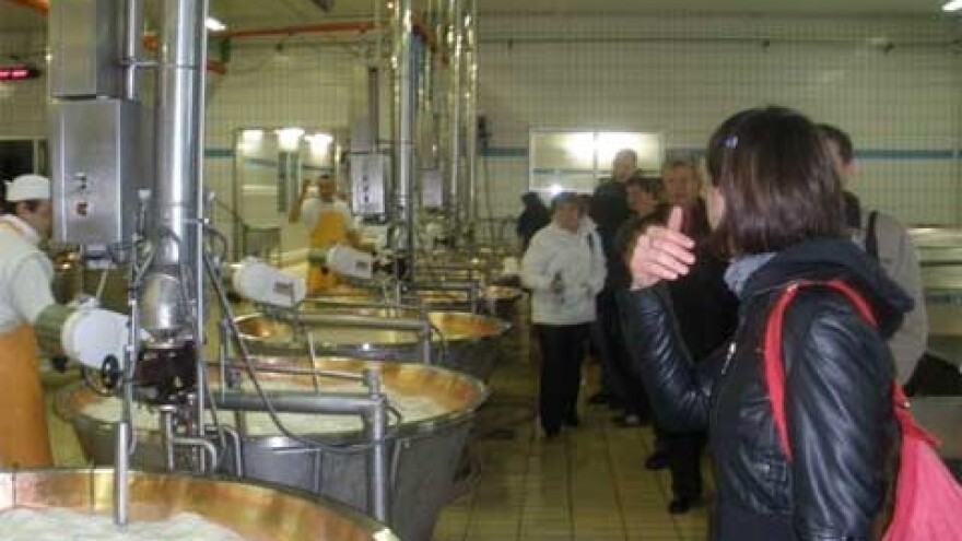 Edukacija za mljekare i sirare