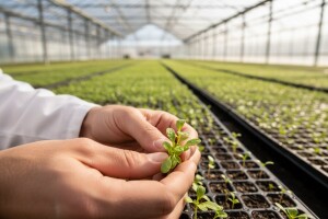 Struka  vitalnija od poljoprivrede