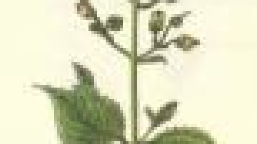 Strašno je biti strupnik