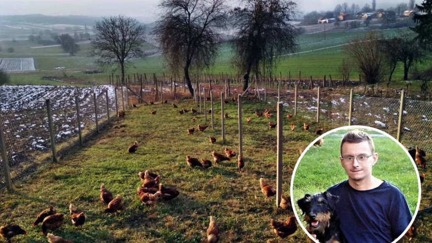 Dario Benjak: Kada je otac dobio otkaz, novcem za školarinu kupio sam 30 koka