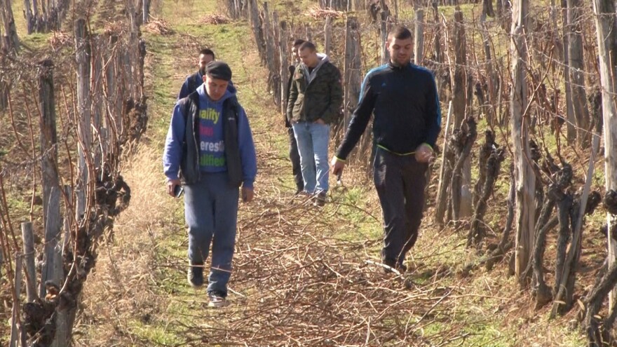 Ljubav prema proizvodnji vina još od studentskih dana