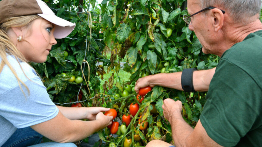 Mladi, prijavite se za obavljanje stručne prakse!