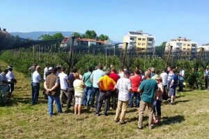 Nove tehnologije u voćarstvu