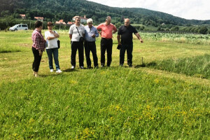 Ishrana muznih krava i proizvodnja stočne hrane
