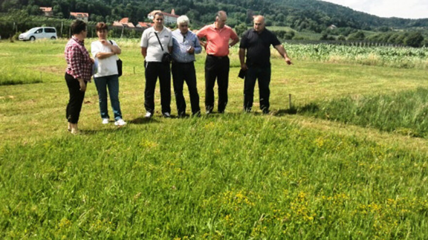 Ishrana muznih krava i proizvodnja stočne hrane