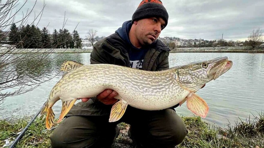 Kad zagrize kapitalac: Ribič iz Špišić Bukovice ulovio štuku tešku pet kilograma