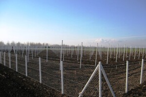 Otporne PVC stupove koriste i najveće HR vinarije: Idealni za ograde, voćare, povrćare