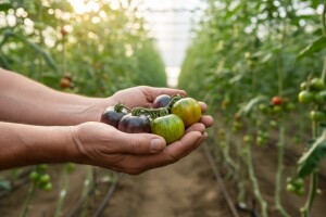 Stvaranjem jedinstvenih proizvoda do uspjeha