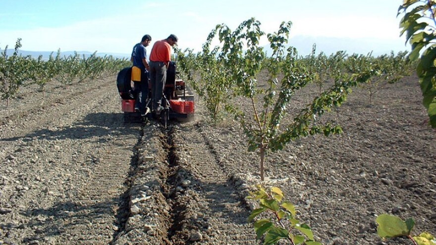 Subirigacija - prednosti podzemnog navodnjavanja
