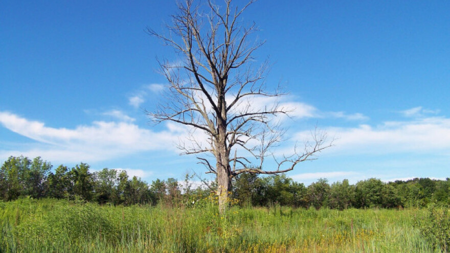 Produžen rok za dodjelu subvencija!