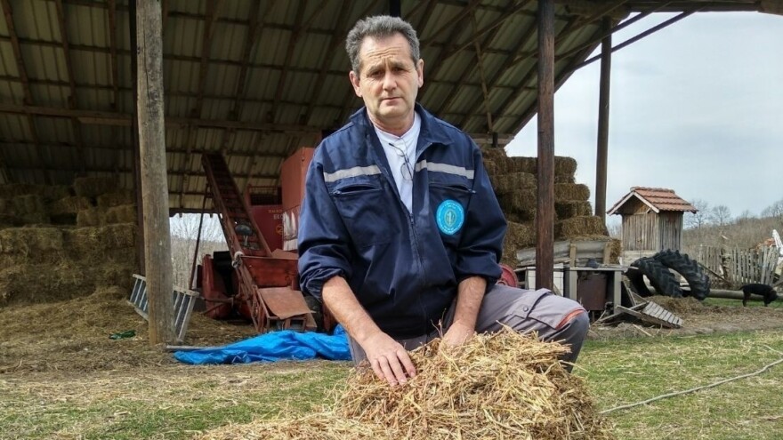 Nebojša Pavlović trideset  godina uspešno uzgaja krmno bilje
