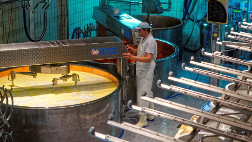 Podsticaji za mlijeko najveći u regionu