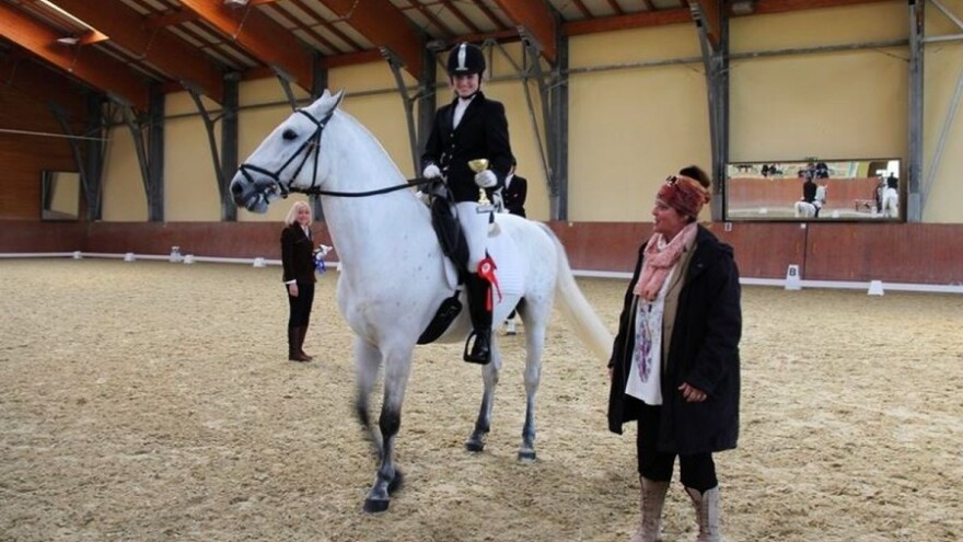 Seminar za suce lipicanske pasmine