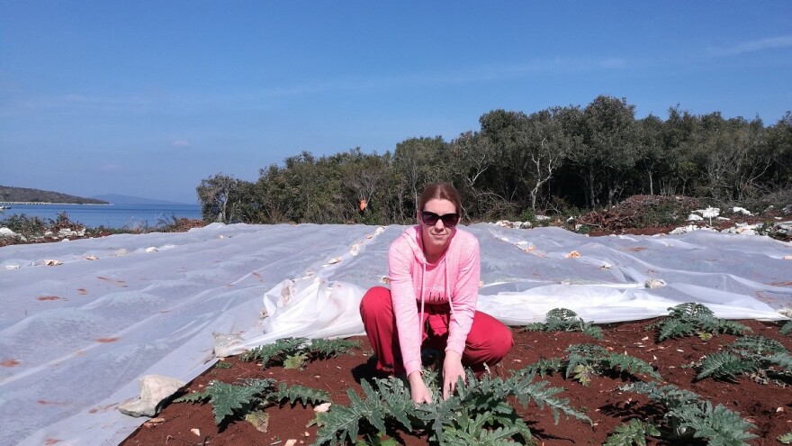 Maja Sučić: Želimo dokazati da se može živjeti i od artičoka, a ne samo od apartmana u prvom redu do mora