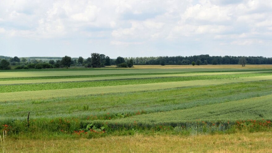 Revizorski sud: Poticaji za bioraznolikost premali - u 10 godina EU nije napravila ništa?