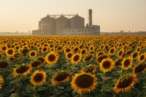 Sudbina čepinske uljare je u rukama Radimira Čačića