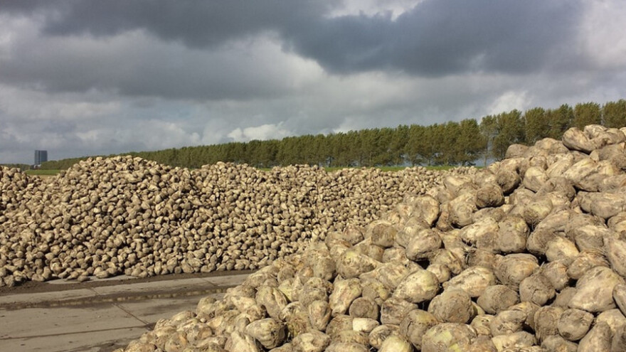 Hoće li &quot;Viro&quot; preuzeti srpske šećerane?