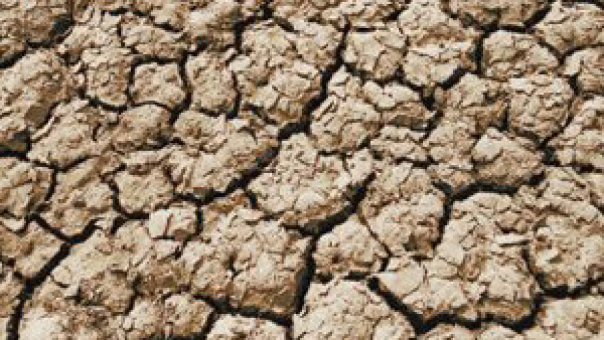 Poljoprivrednici: Situacija je katastrofalna, suša će nas dotući