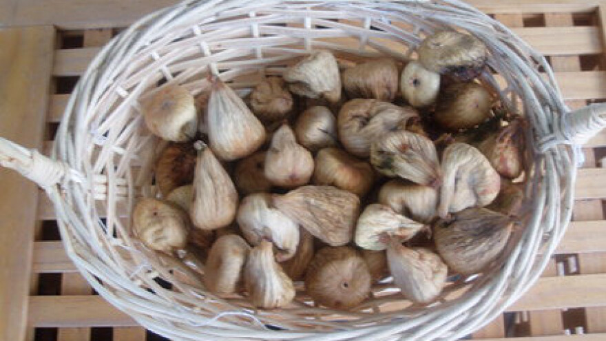 Završavaju 19. Primoštenske užance