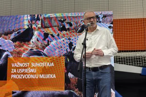 Suhostaj kao trening: "Visoko produktivna mliječna krava je kao vrhunski sportista"