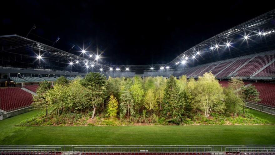 Šuma izrasla na stadionu!? To nam je budućnost?