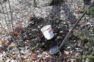 Šumska zemlja odlična je za sadnju cvijeća, povrća, voća