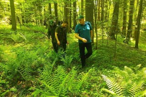 Jedina BiH prašuma obiluje biodiverzitetom, ipak pri dnu smo evropskih zaštićenih područja