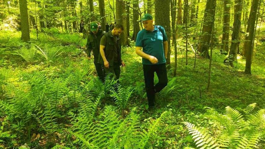 Jedina BiH prašuma obiluje biodiverzitetom, ipak pri dnu smo evropskih zaštićenih područja