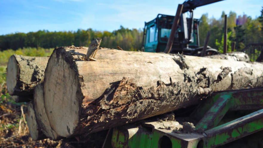 Prihvaćena iznimka za šume zbog rata