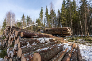 Treba li ukinuti naknadu za korištenje općekorisnih funkcija šuma?