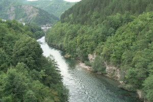 Danas je njihov dan - čuvajmo naše šume!