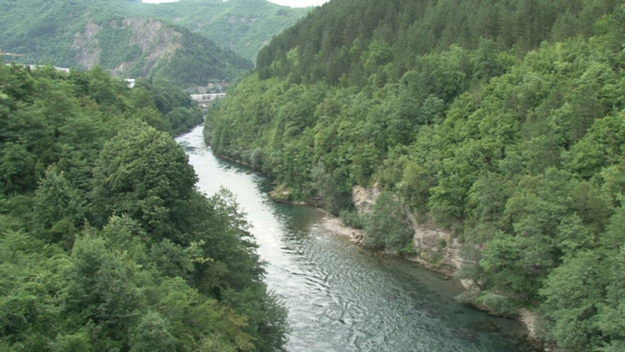 Danas je njihov dan - čuvajmo naše šume!