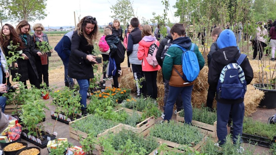 Znate li da je danas posađena najveća šuma hrane u Hrvatskoj?