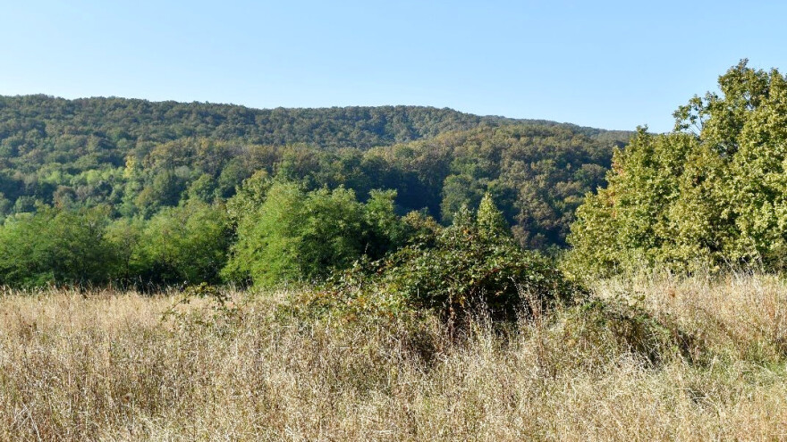 Konverzija šuma: Za novih devet projekata UŠP-u Split sedam milijuna kuna