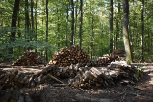 Kubik ili metar ogreva - kada kupujete drva, a kada "vazduh"?