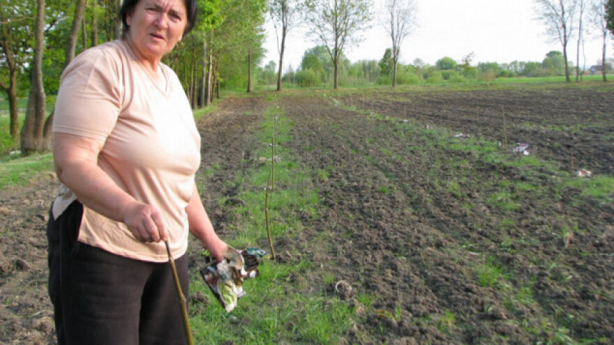 Odustali od ratarstva i okrenuli se pošumljavanju