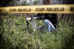 Tragedija u šumi, smrtno stradao u rušenju stabla