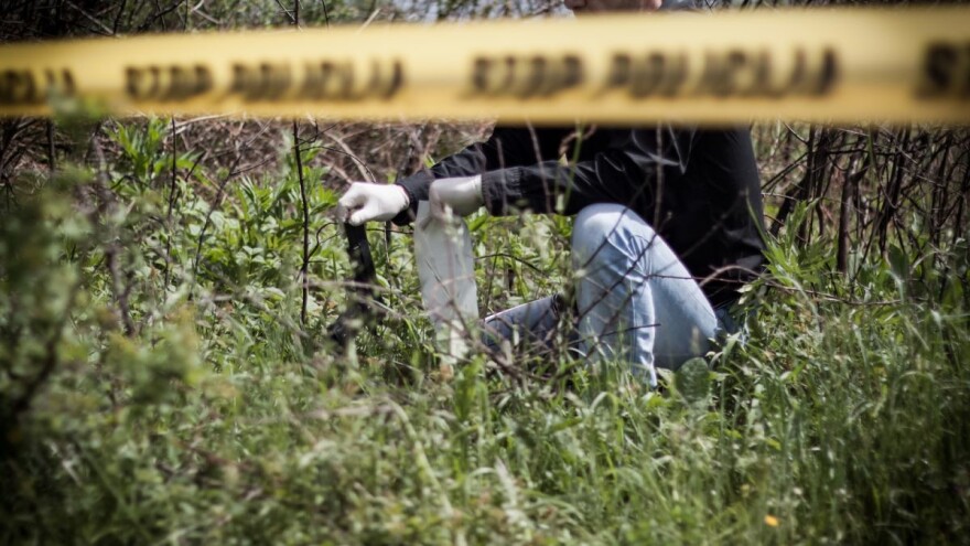 Tragedija u šumi, smrtno stradao u rušenju stabla