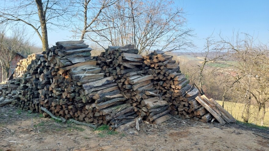 Dvojica 18-godišnjaka ilegalno sjekla stabla u šumi kod Našica