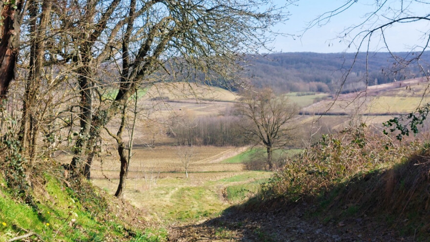 Parlament postavio novi cilj za 2030.: Povećati ponore ugljika za 15 posto