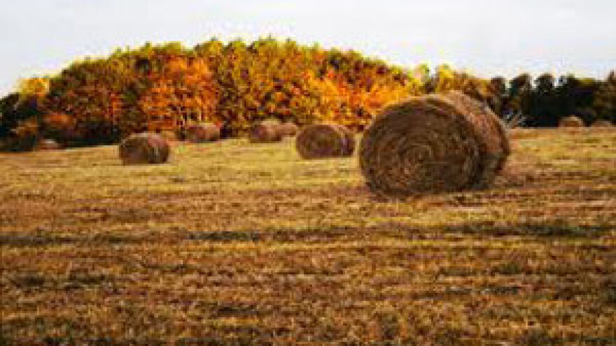 Šume i vode opet pod ministarstvom poljoprivrede