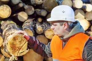 Nema otpuštanja u Upravi šuma Vinkovci!